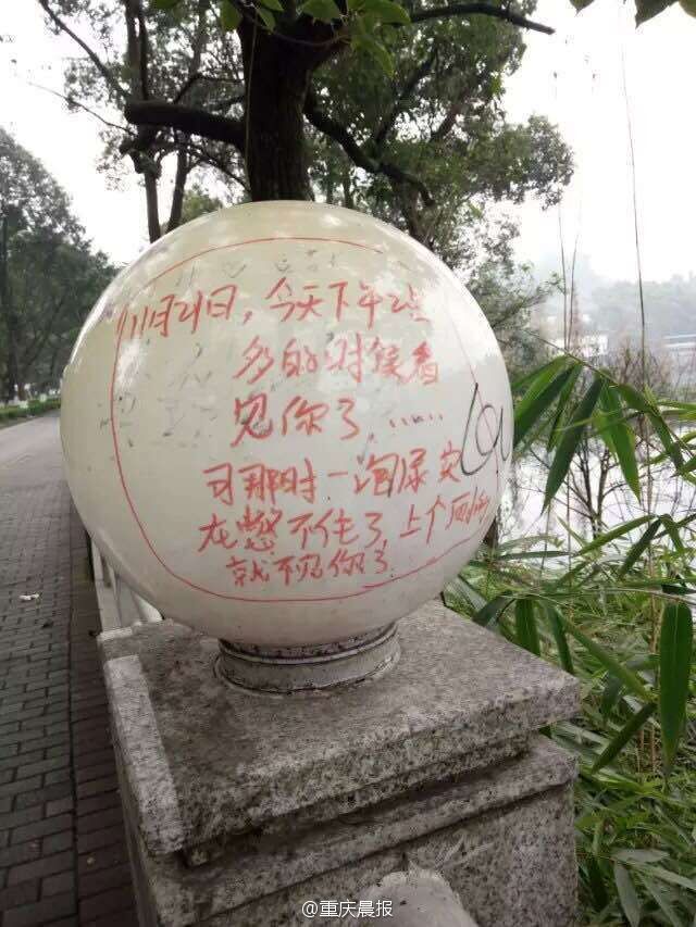 高校男生涂鸦路灯求婚 网友:污染环境(4)