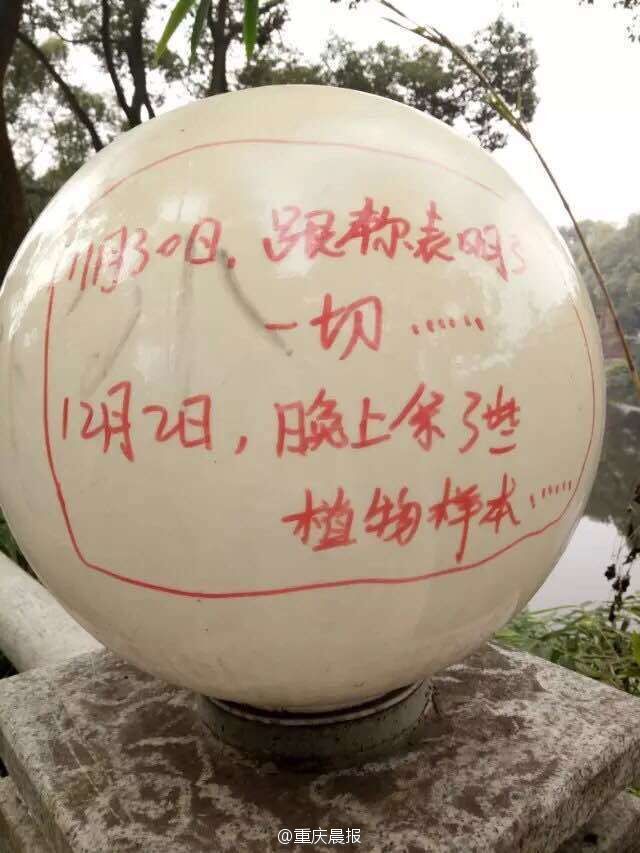 高校男生涂鸦路灯求婚 网友:污染环境(6)