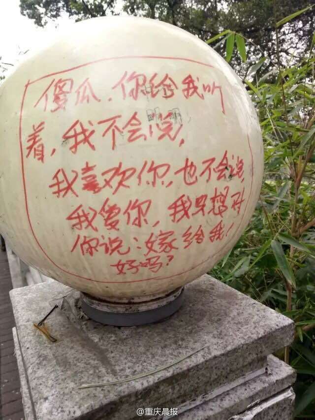 高校男生涂鸦路灯求婚 网友:污染环境(8)