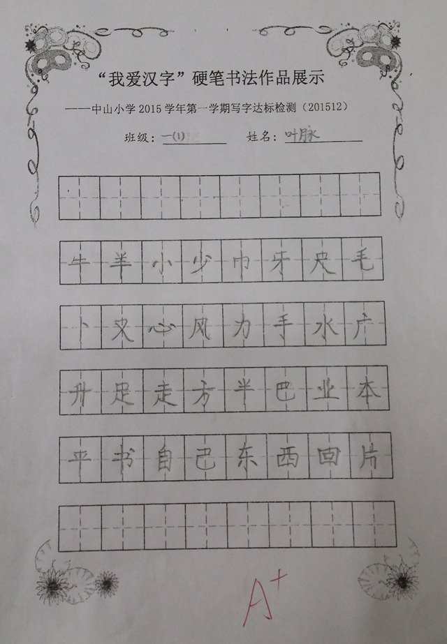 浙江衢州小学生写字堪比印刷体(18)