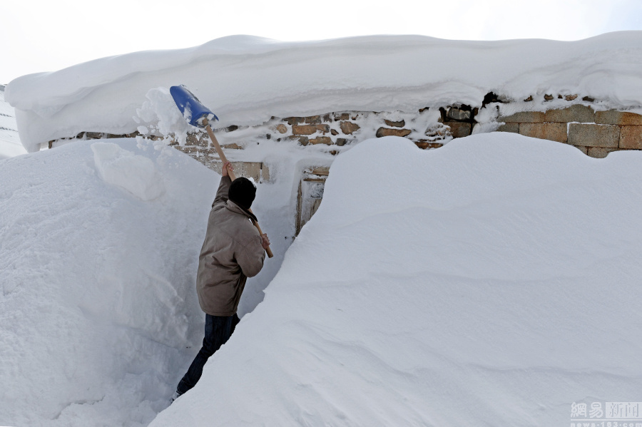 土耳其大雪淹没房屋 民众挖地道出行(1)