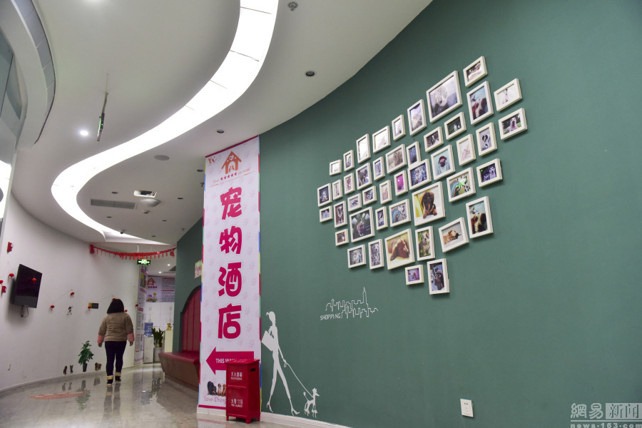 成都宠物酒店春节寄养150元一天供不应求(4)