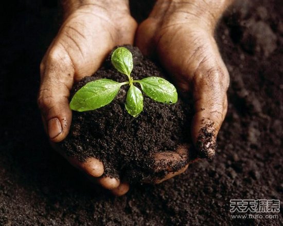 肥料排名_肥料卡通图片(3)