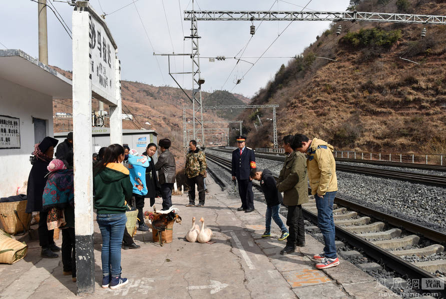 男子站在悬崖上撒尿猜一成语_悬崖上的金鱼姬图片