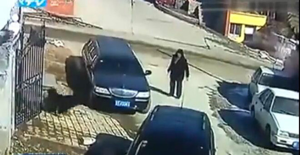 山东6旬 老汉与藏獒搏斗 将其打趴 常练铁砂掌-