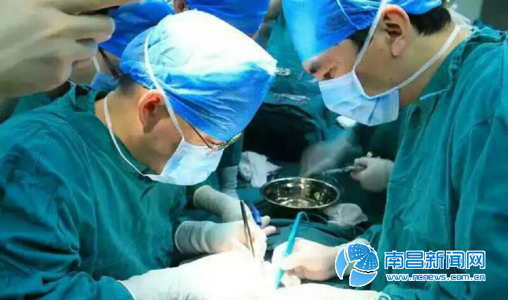  江西连体男婴分离 成功 两男婴现状介绍 - 人物