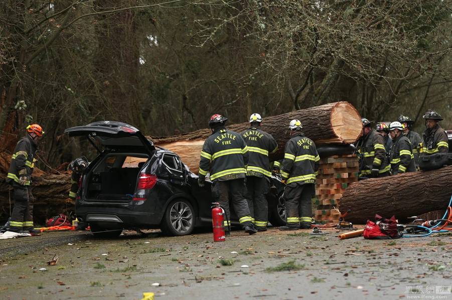 美国狂风吹倒大树砸汽车 成人遇难婴儿获救- M