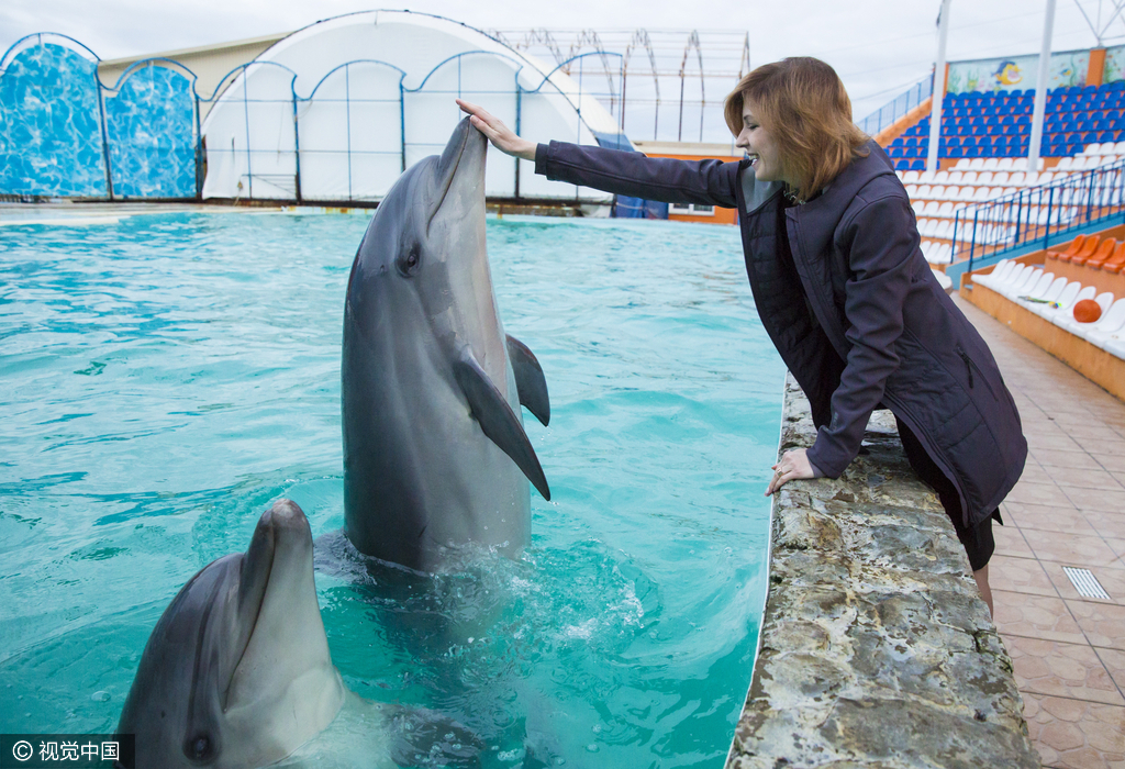 克里米亚美女 检察官与海豚互动  显少女心(1)_社
