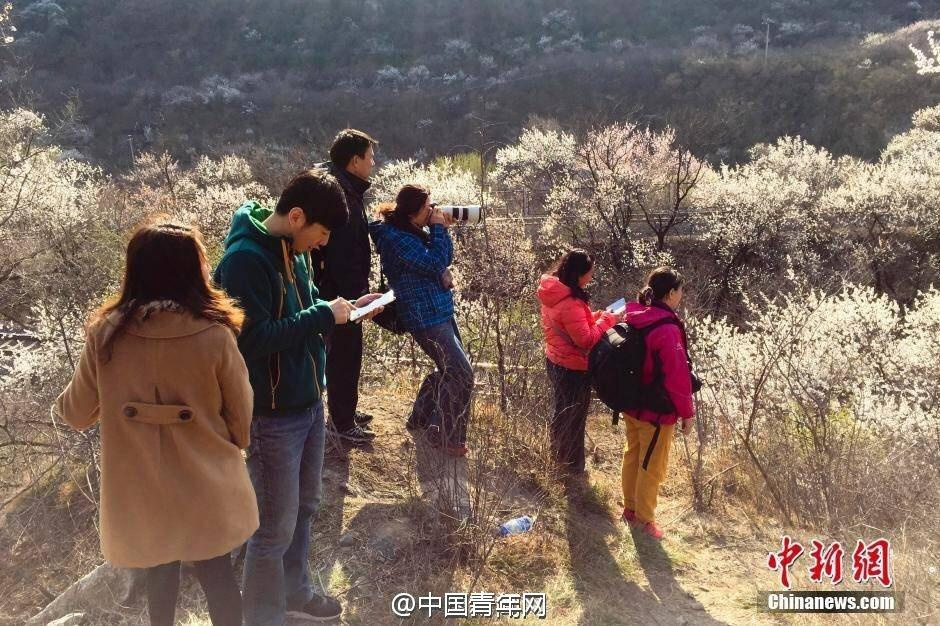  开往春天的列车 被发烧友逼停 暂时封闭(1)_社