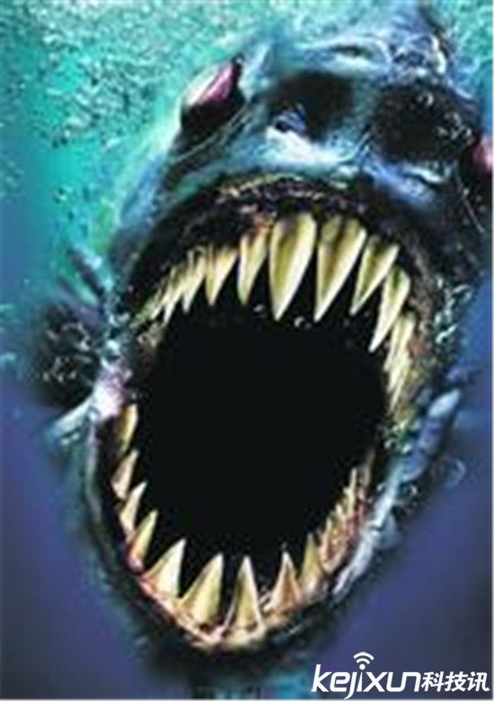 动物世界食人鱼战巨齿鲨 疯狂动物盘点!(1)