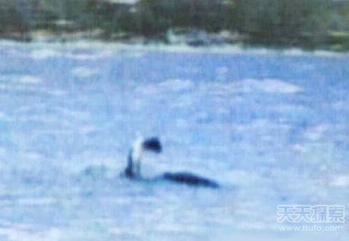 水怪真实照片图 c03fd543eebc1898f6d02e.jpg