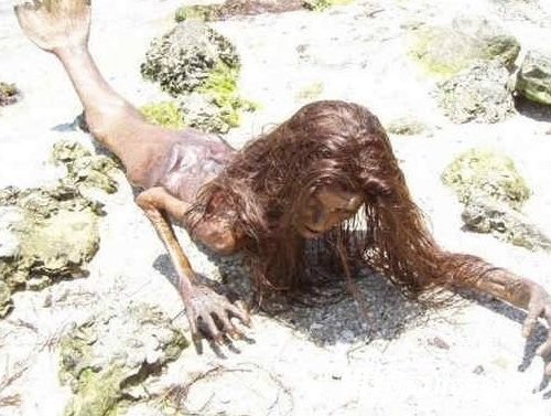 据国外媒体报道,在美国夏威夷海滩近日发现两具疑似美人鱼的尸体,其