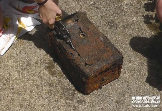 女孩在沙滩发现神秘生物：结果轰动全村人
