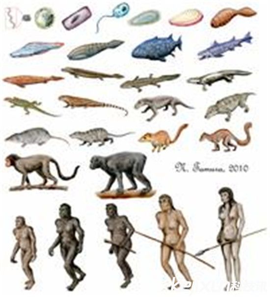 远古生物物种大灭绝 引发“生物超级进化”(1)_社会万象_光明网