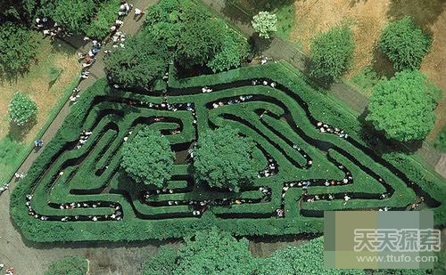 世界上八大最难植物迷宫 走出来的都是天才(1