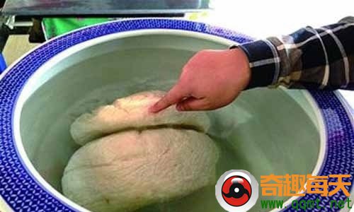 他在草堆中发现异形怪石 鉴定后乐坏了！