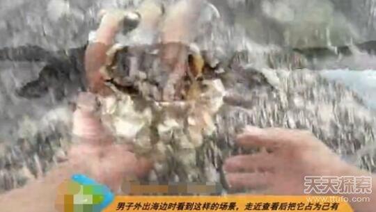 男子海边发现诡异生物：走近后发大财了！