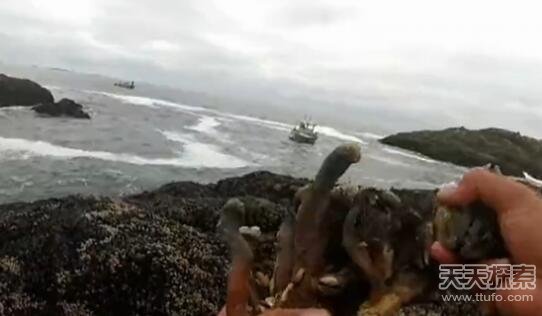 男子海边发现诡异生物：走近后发大财了！