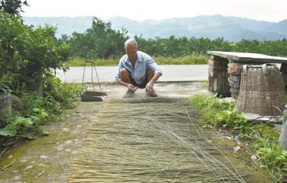 最后的“蒲席”！千年蒲江草席编作面临失传(图) (图3)