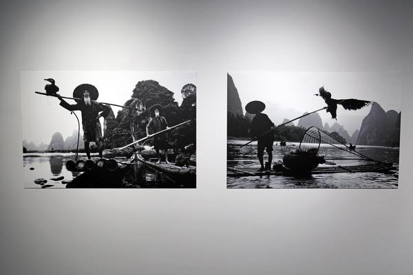《美丽的中国-美丽的卡塔尔》摄影展在光影间演绎中卡文化渊源 《美丽的中国-美丽的卡塔尔》摄影展在光影间演绎中卡文化渊源