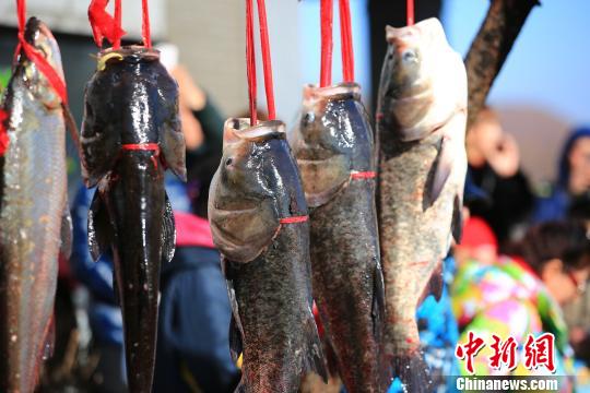 抚顺冬捕节再现古老渔猎大典头鱼拍9.8万元（图）