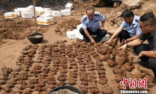保定工地现236枚锈铁疙瘩专家称或为战争遗留