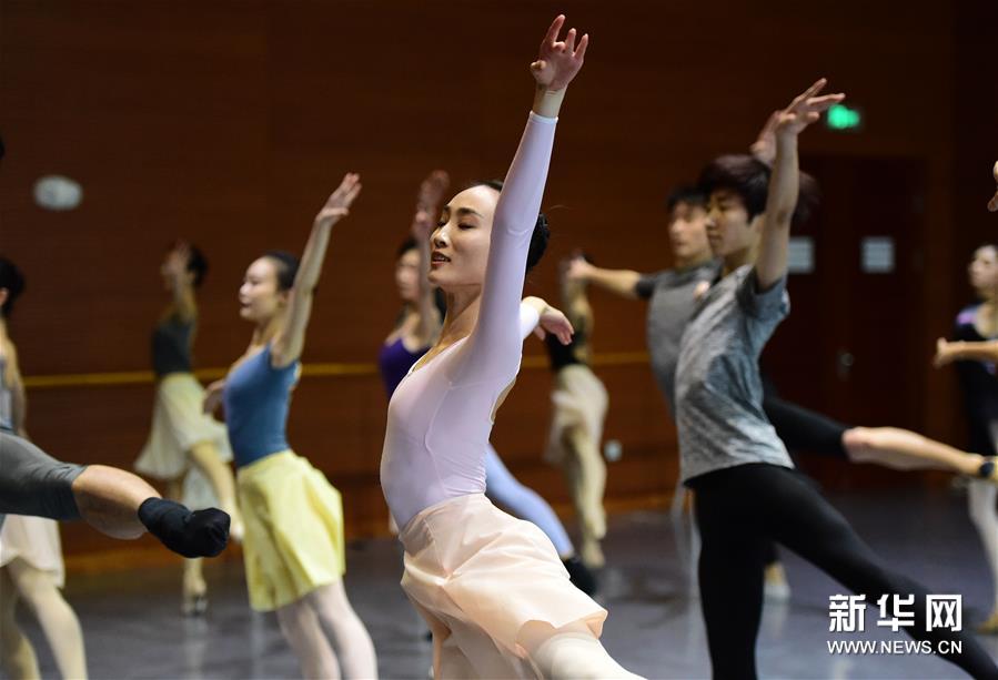 触碰芳华--辽宁芭蕾舞团白天鹅养成记