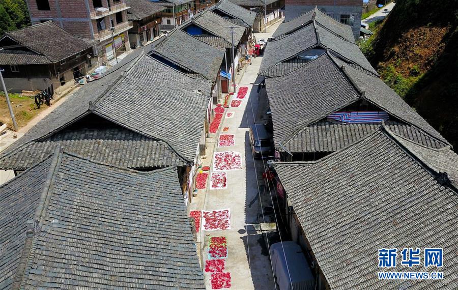 2018暑期档满意度一超多强 《药神》88分领