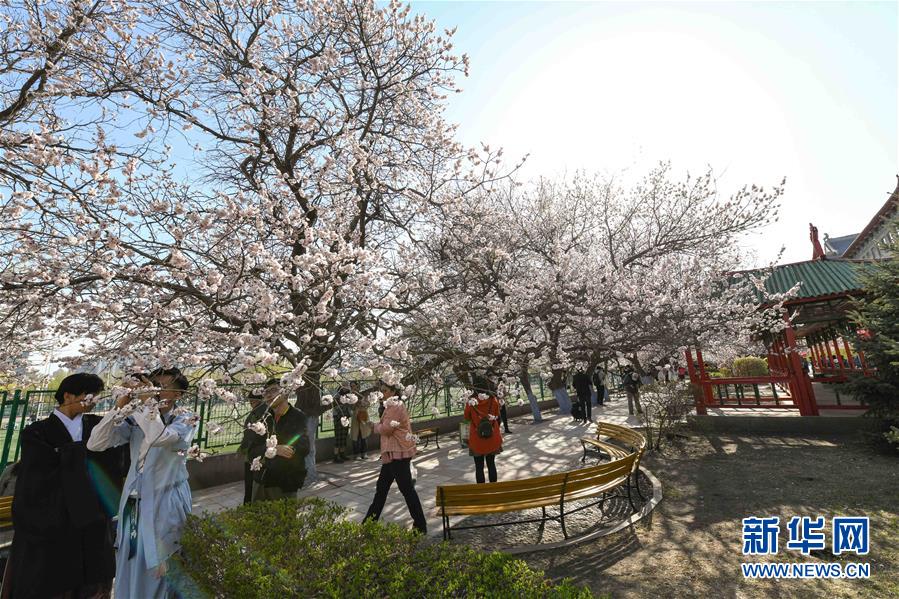 文化和旅游部:深化公共文化产品供给侧改革要“精准滴灌”