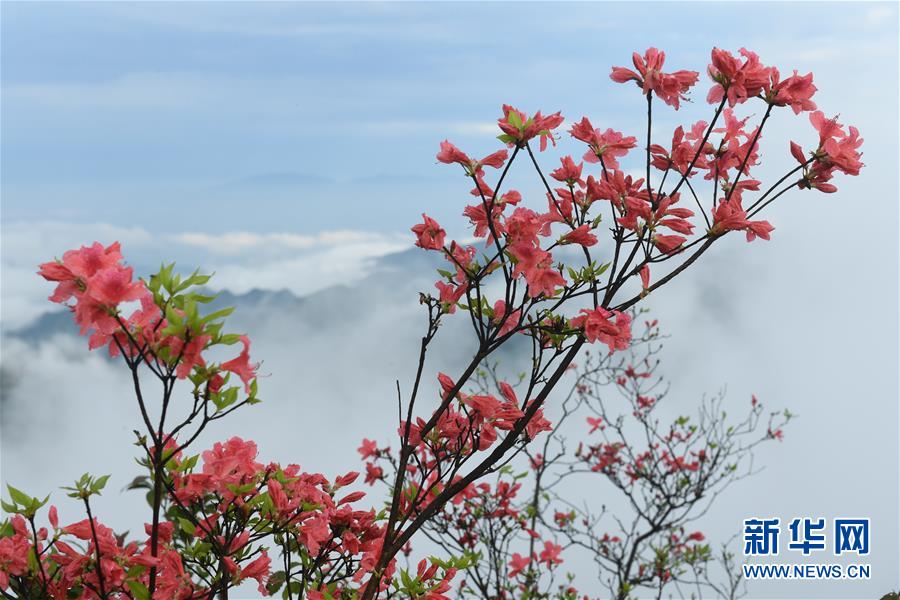 文化和旅游部:深化公共文化产品供给侧改革要“精准滴灌”