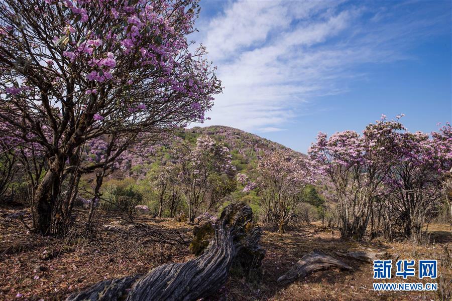 文化和旅游部:深化公共文化产品供给侧改革要“精准滴灌”