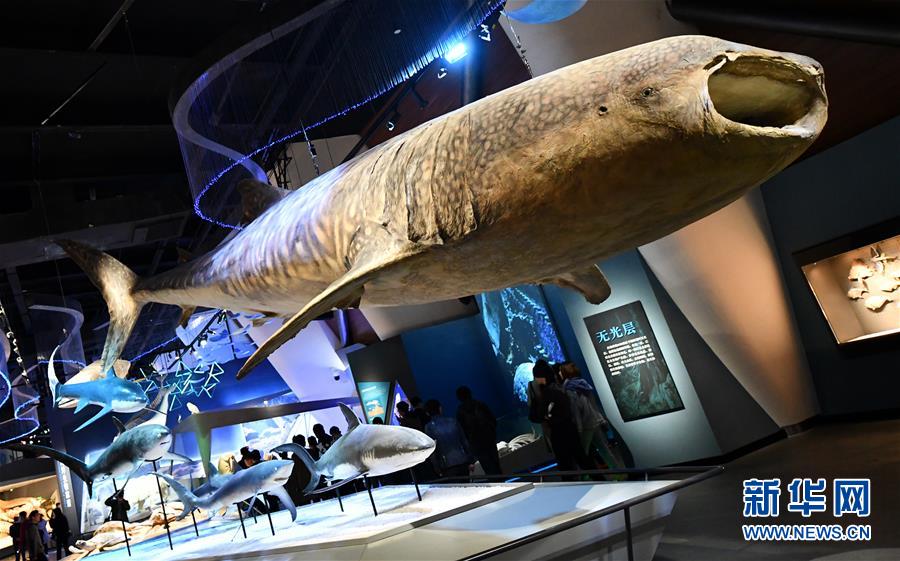 文化和旅游部:深化公共文化产品供给侧改革要“精准滴灌”