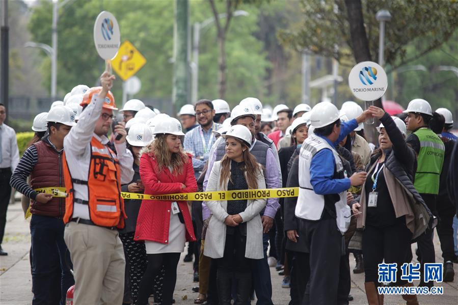 新年将至 重庆公园花灯璀璨年味渐浓(最新发布)