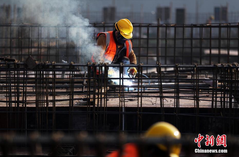 新年将至 重庆公园花灯璀璨年味渐浓(最新发布)