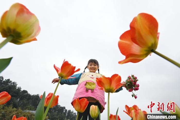 第十六屆湖南世界名花生態文化節開幕 游人踏春賞花