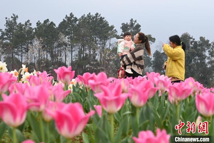 第十六屆湖南世界名花生態文化節開幕 游人踏春賞花
