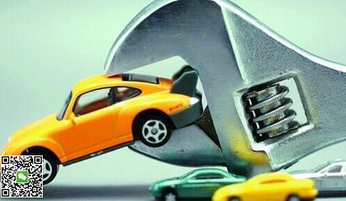 比速汽车_人均汽车拥有占比(3)