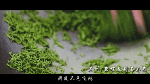 【何以中国 运载千秋】一曲“水龙吟”，漫步大运河江苏段“朋友圈”