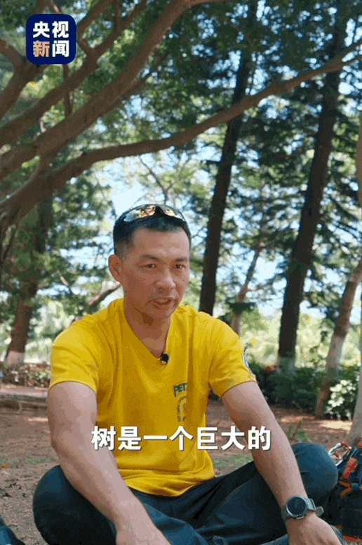 “爬树”也能修学分？这所高校的“攀树课”一课难求！