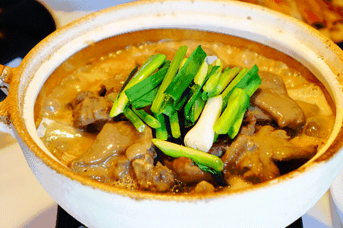 文化中国行·立冬 | 岭南立冬春意同,新梅万朵映晴空 文化中国行·立冬 | 岭南立冬春意同,新梅万朵映晴空