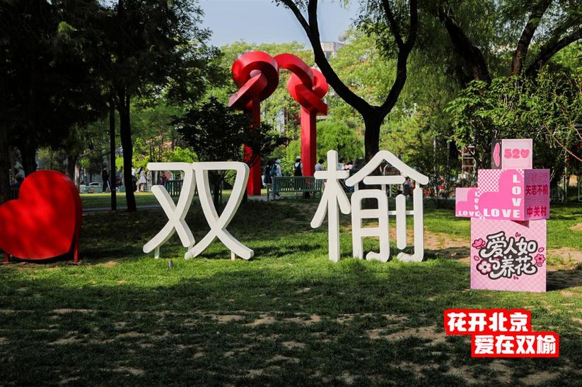 北京市海淀区双榆树公园举办“花开北京·爱在双榆”520主题活动