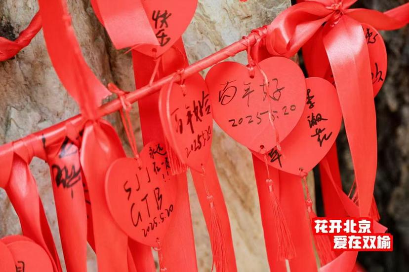 北京市海淀区双榆树公园举办“花开北京·爱在双榆”520主题活动