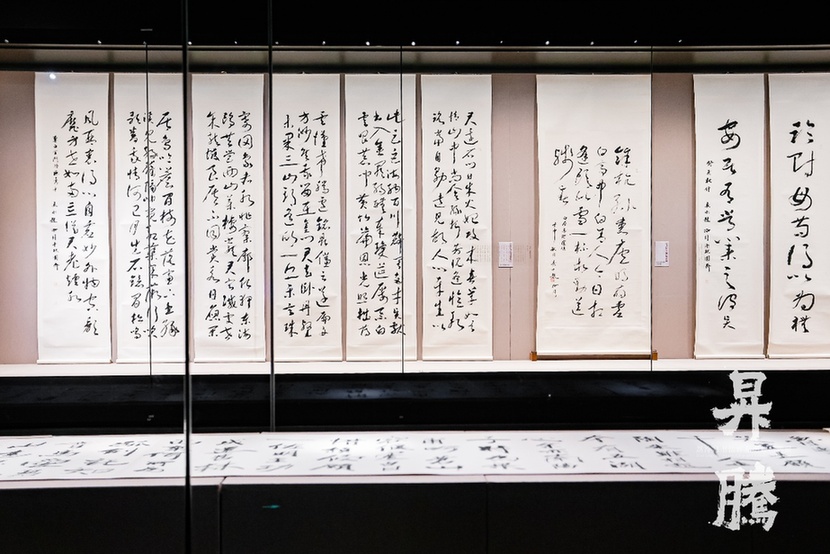 笔墨归乡 精神升腾：赵冷月书法作品捐赠回顾展在嘉兴博物馆启幕