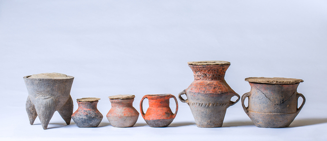 历经13年科研，以古DNA揭开石峁人群之谜