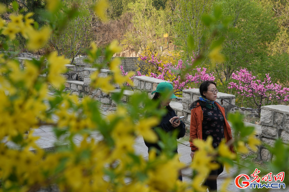 【网络中国节】“Plus版”清明假期 解锁文旅新体验 【网络中国节】“Plus版”清明假期 解锁文旅新体验