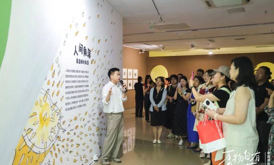 集结中国绘本创作中坚力量 “万物自有角落——中国原创绘本展”正式启幕
