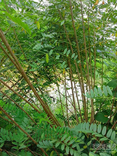 爸妈收拾我们的14大杀器 你中招了么