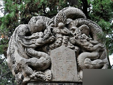 社会万象 正文 8,老八—负屃(fu xi 负屃是龙崽子里的知识