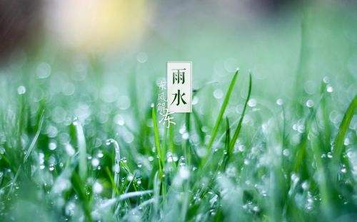 【网络中国节】雨水：雪消门外千山绿，花发江边二月晴
