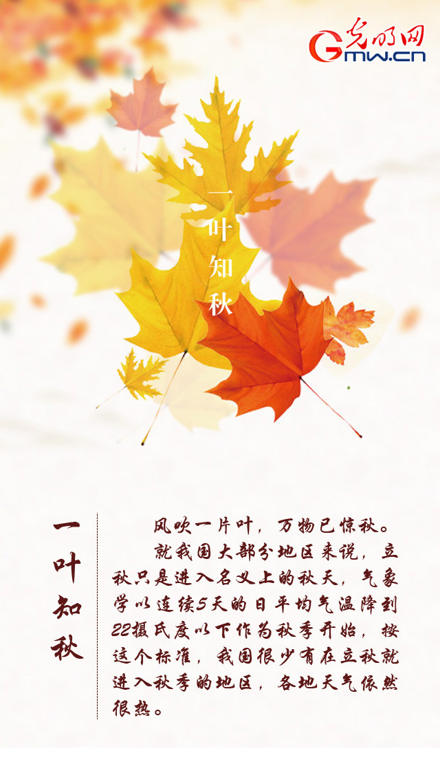 【网络中国节】立秋：风吹一片叶，万物已惊秋